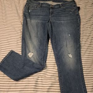 Torrid Sky High Jean Pants